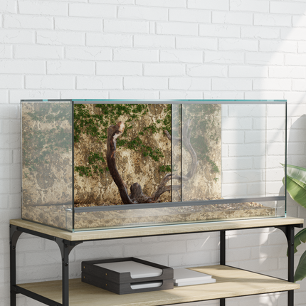 Terrarium med lagring Transparent 80 x 40 x 40 cm Glas