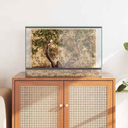 Terrarium med lagring Transparent 60 x 40 x 40 cm Glas