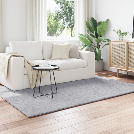 Områdesmattor Rektangulär SIROLO Grå 230 x 160 cm Polyester