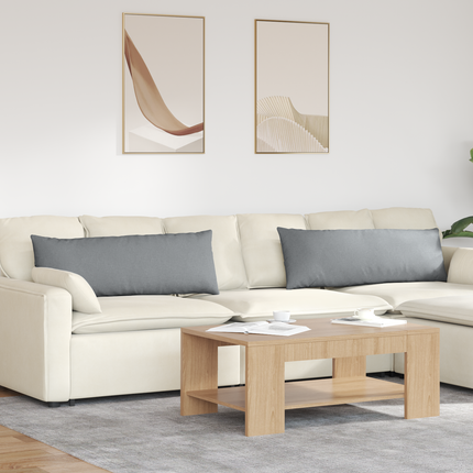 Sofakuddar 2 st tyg Ljusgrå 120 x 40 cm