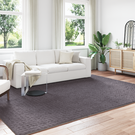 Områdesmattor Rektangulär SIROLO Antracit 280 x 200 cm