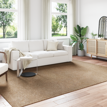 Områdesmattor Rektangulär AGIRA Naturfärg 340 x 240 cm