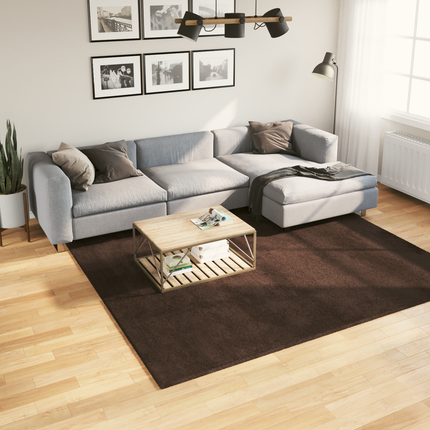 Mellanhög mjuk och tvättbar matta HUARTE Brun 240 x 240 cm