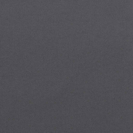 Stolsdynor 2 st antracit 120x50x2 cm tyg