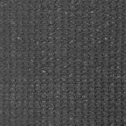 Rullgardin utomhus 165 (B) x 140 (H) cm antracit