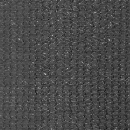 Rullgardin utomhus 125 (B) x 230 (H) cm antracit