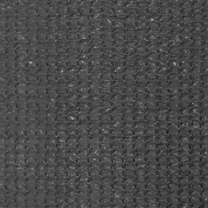 Rullgardin utomhus 145 (B) x 230 (H) cm antracit