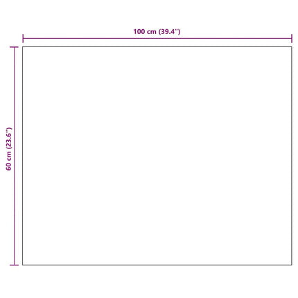 Spegel utan ram 100x60 cm glas