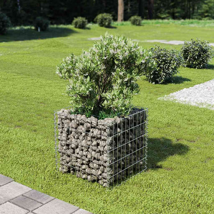 Planteringsgabion upphöjd galvaniserat stål 50x50x50 cm