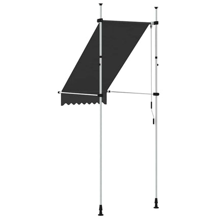 Markis manuellt infällbar 100 cm antracit
