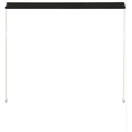 Markis 100x150 cm antracit