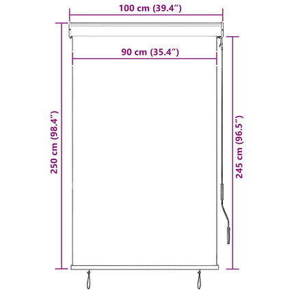 Rullgardin utomhus 100x250 cm blå och vit