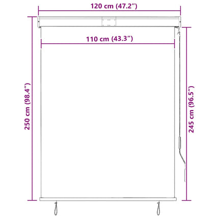 Rullgardin utomhus 120x250 cm blå och vit