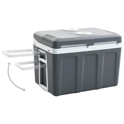Portabel termoelektrisk kylbox 40 L 12 V 230 V E