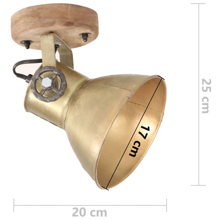 Industriell vägglampa/taklampa 2 st mässing 20x25 cm E27