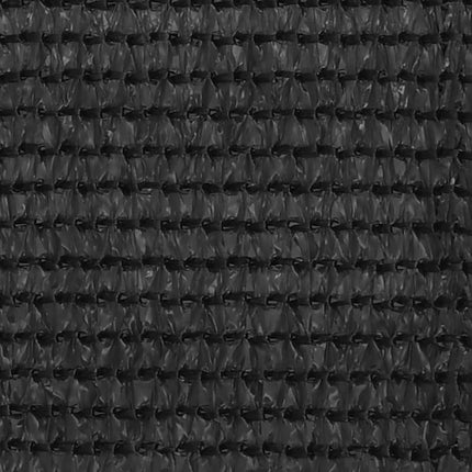 Balkongskärm antracit 120x600 cm HDPE