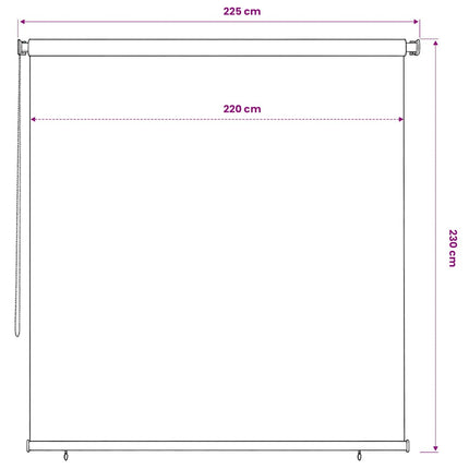 Rullgardin utomhus 225 (B) x 230 (H) cm terrakotta HDPE