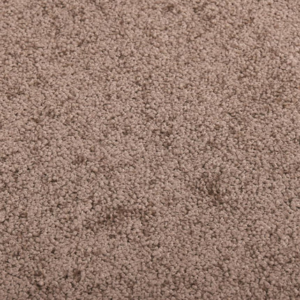 Dörrmatta brun 60x80 cm