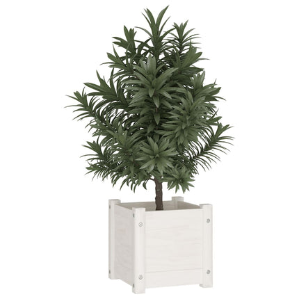 Odlingslåda vit 31x31x31 cm massiv furu