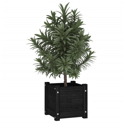 Odlingslådor 2 st svart 31x31x31 cm massiv furu