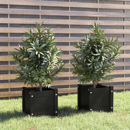 Odlingslådor 2 st svart 31x31x31 cm massiv furu