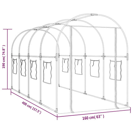Växthus genomskinligt 160x400x190 cm PVC & pulverlackerat stål