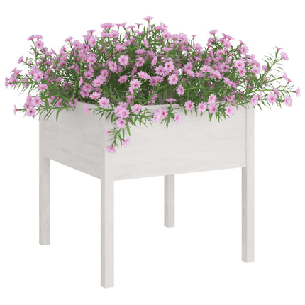 Odlingslåda vit 70x70x70 cm massiv furu