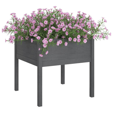 Odlingslådor 2 st grå 70x70x70 cm massiv furu