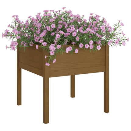 Odlingslåda honungsbrun 70x70x70 cm massiv furu