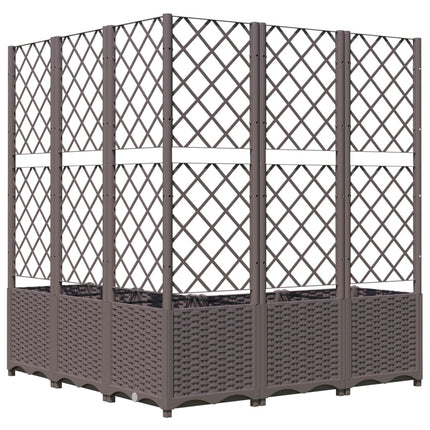 Odlingslåda med spaljé brun 120x120x136 cm PP