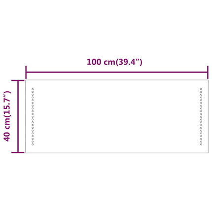 Badrumsspegel LED 100x40 cm