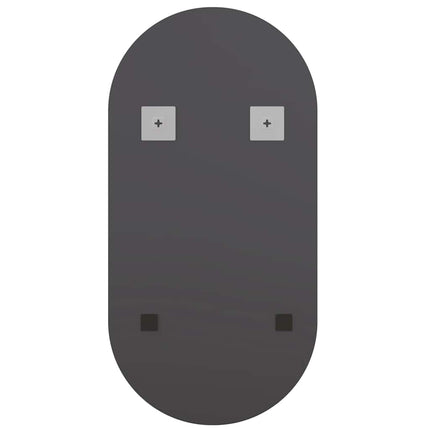 Spegel med LED-lampor 40x20 cm glas oval