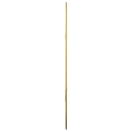 Väggspegel guld 60x40 cm