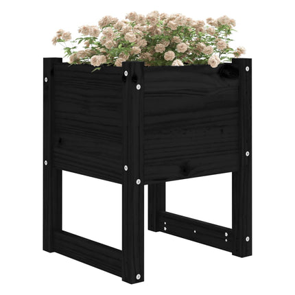 Odlingslådor 2 st Svart 40x40x52,5 cm massiv furu