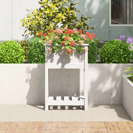 Odlingslåda med hylla vit 54x34,5x81 cm massiv furu