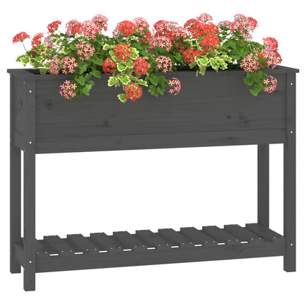 Odlingslåda med hylla grå 111,5x34,5x81 cm massiv furu