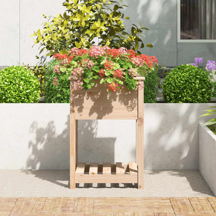 Odlingslåda med hylla 54x54x81 cm massiv furu