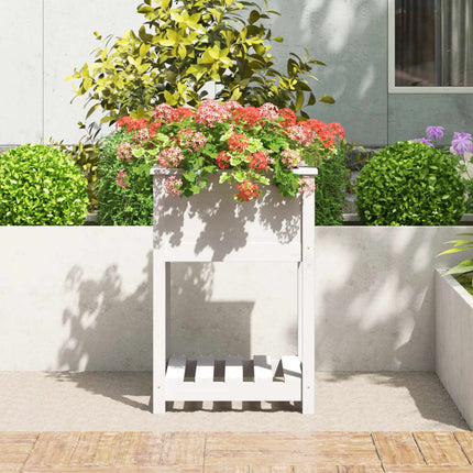 Odlingslåda med hylla vit 54x54x81 cm massiv furu