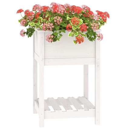 Odlingslåda med hylla vit 54x54x81 cm massiv furu