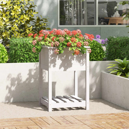 Odlingslåda med hylla vit 54x54x81 cm massiv furu