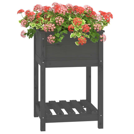 Odlingslåda med hylla grå 54x54x81 cm massiv furu