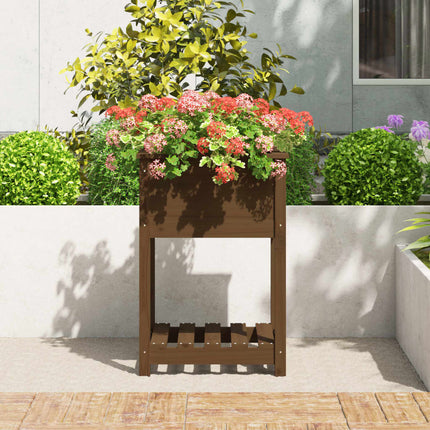 Odlingslåda med hylla honungsbrun 54x54x81 cm massiv furu