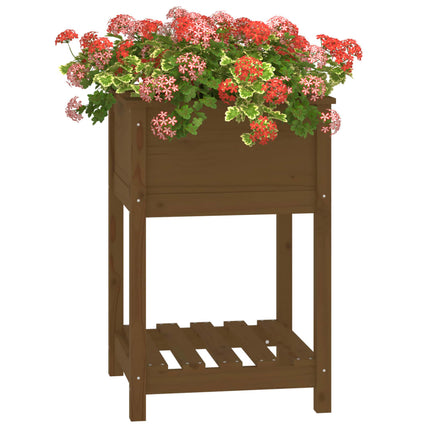 Odlingslåda med hylla honungsbrun 54x54x81 cm massiv furu