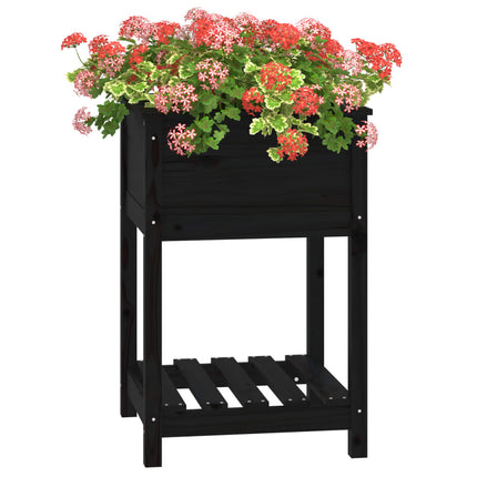 Odlingslåda med hylla svart 54x54x81 cm massiv furu