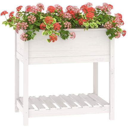 Odlingslåda med hylla vit 82,5x54x81 cm massiv furu