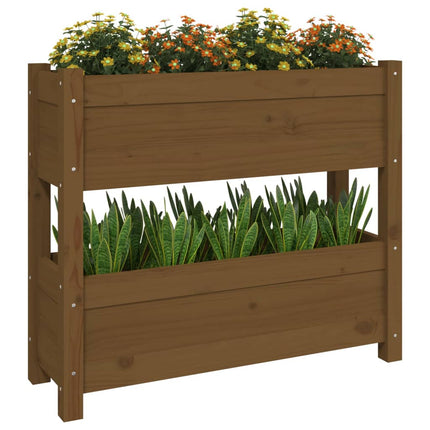 Odlingslåda honungsbrun 77x25x66 cm massiv furu