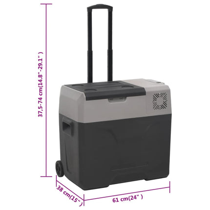 Kylbox med hjul & handtag 30 L svart & grå polypropylen