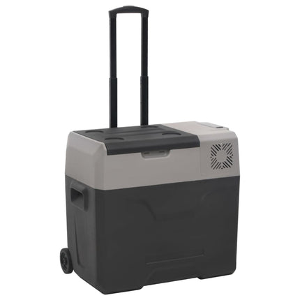 Kylbox med hjul och adapter 50 L svart & grå polypropylen