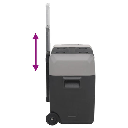 Kylbox med hjul och adapter 50 L svart & grå polypropylen