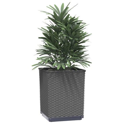 Odlingslådor 4 st svart 30x30x37 cm polypropylen